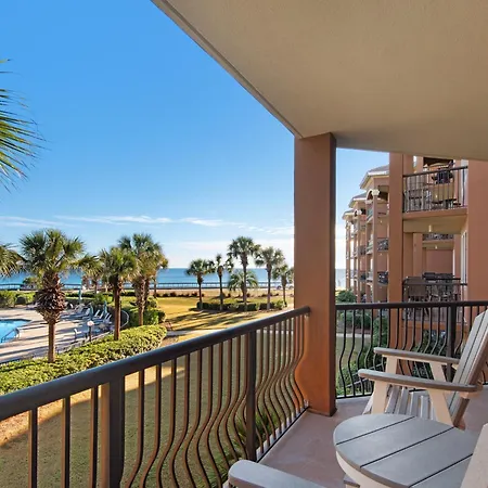 Mediterranea 306B By Newman-Dailey
